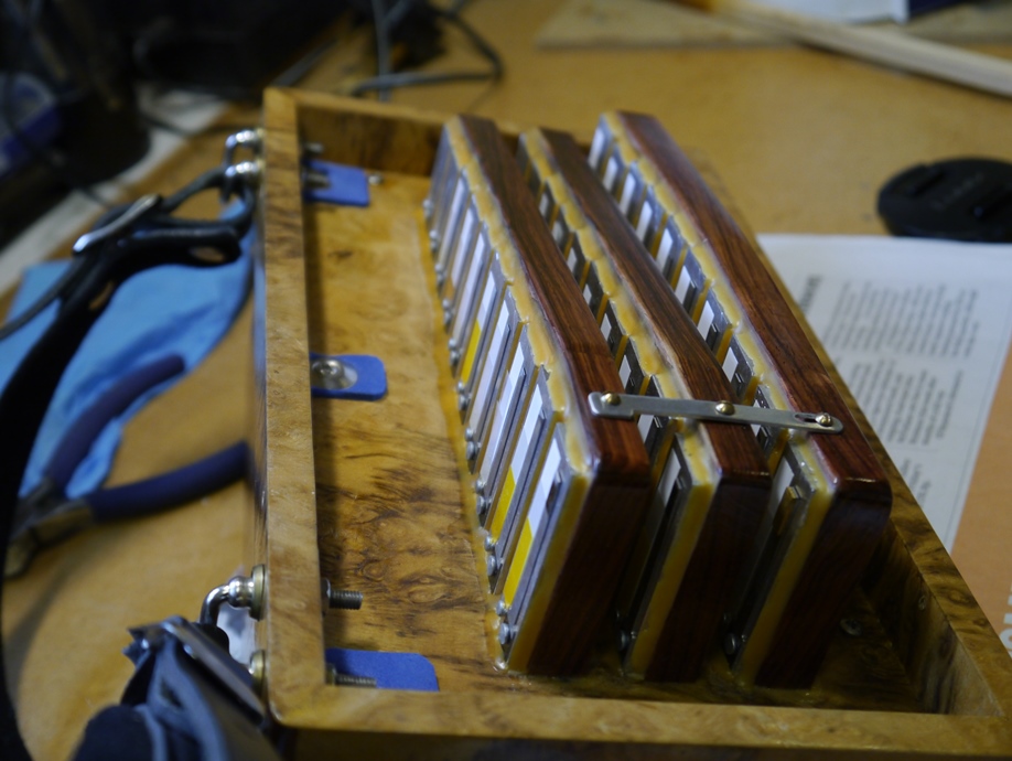 Albrecht melodeon reeds
