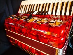 Parrot Piano Accordion