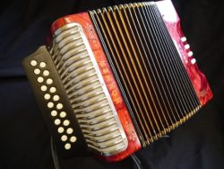 Hohner Erica DG