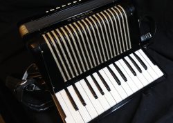 Hohner Student II